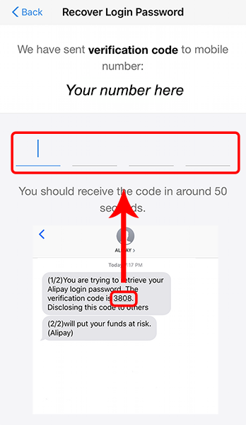 Enter verification code in Alipay App