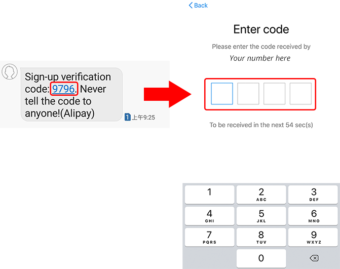 Type in Alipay validation code from SMS