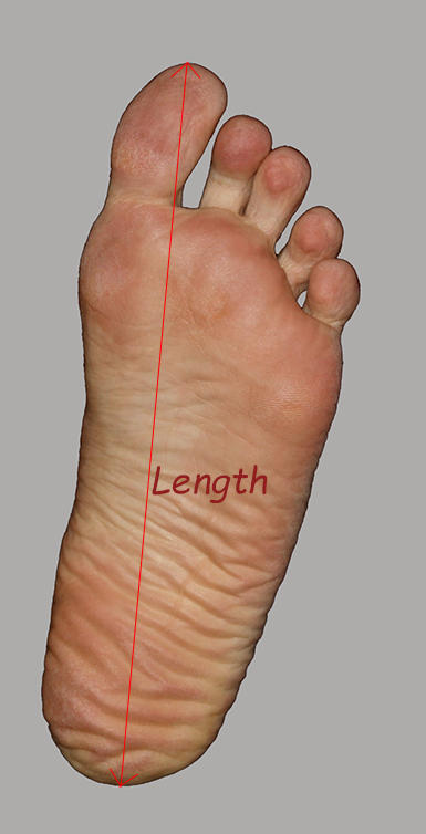 Measure feet length for buying shoes on Taobao